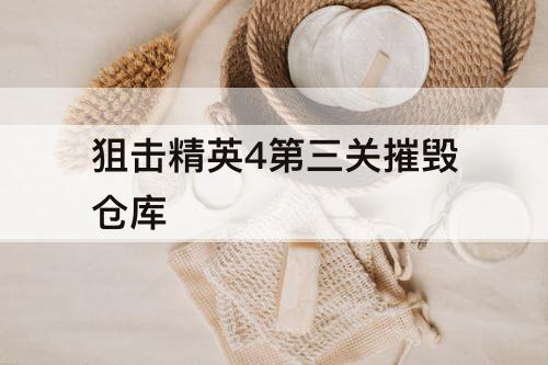狙击精英4第三关摧毁仓库