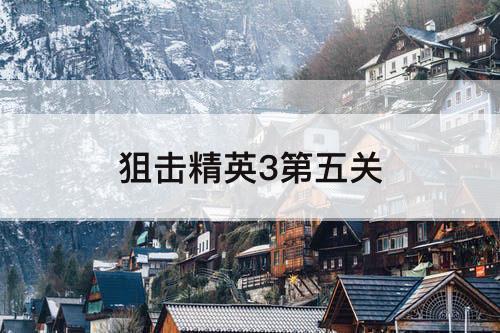 狙击精英3第五关