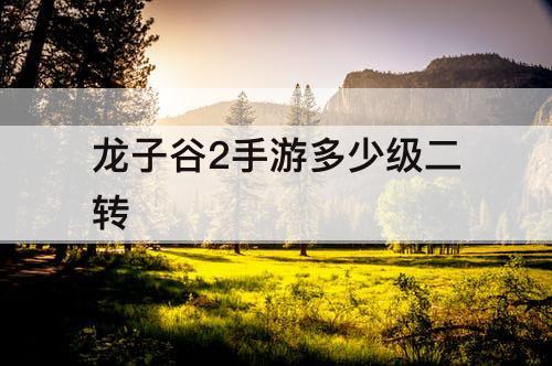 龙子谷2手游多少级二转