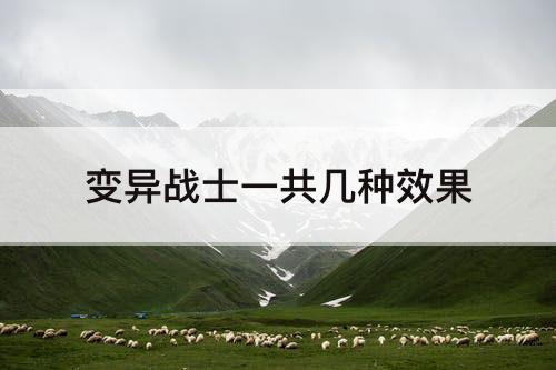 变异战士一共几种效果