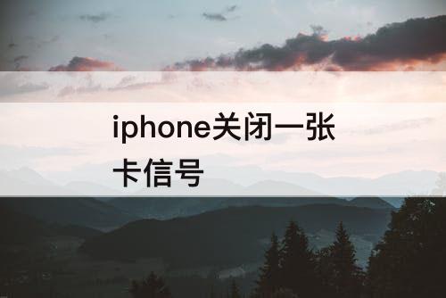 iphone关闭一张卡信号
