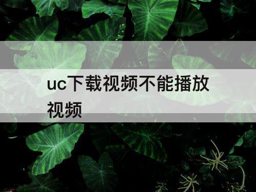 uc下载视频不能播放视频