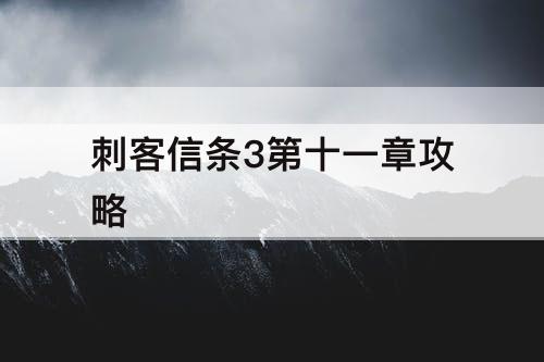 刺客信条3第十一章攻略
