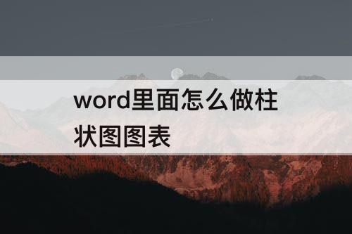 word里面怎么做柱状图图表