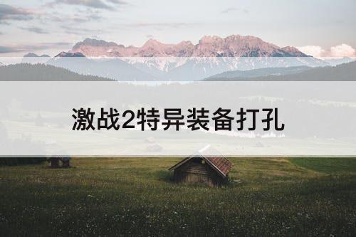 激战2特异装备打孔