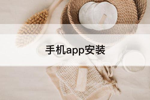 手机app安装