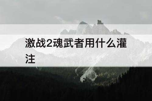 激战2魂武者用什么灌注
