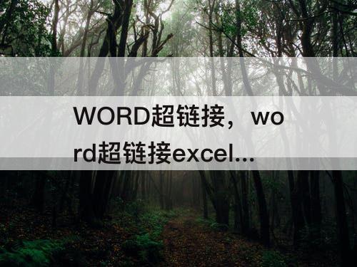 WORD超链接，word超链接excel表格内容