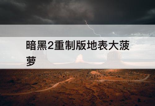 暗黑2重制版地表大菠萝