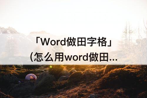 「Word做田字格」(怎么用word做田字格并写字)