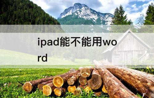 ipad能不能用word