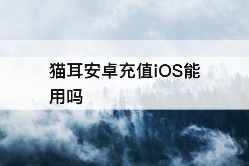 猫耳安卓充值iOS能用吗