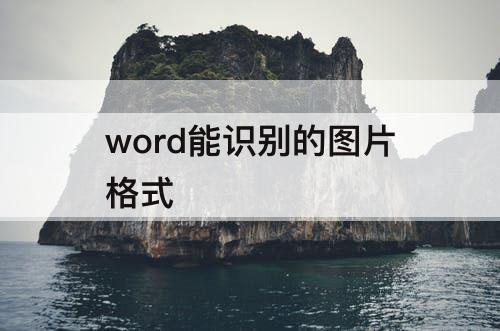 word能识别的图片格式