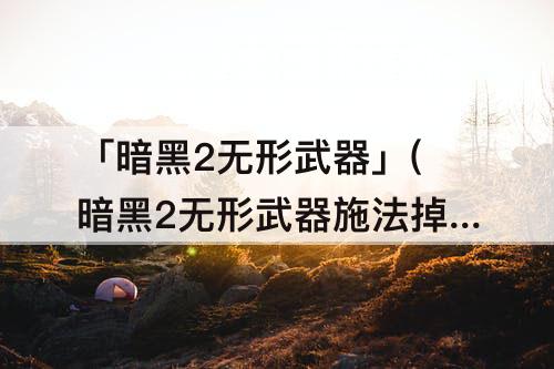 「暗黑2无形武器」(暗黑2无形武器施法掉耐久吗)