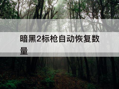 暗黑2标枪自动恢复数量