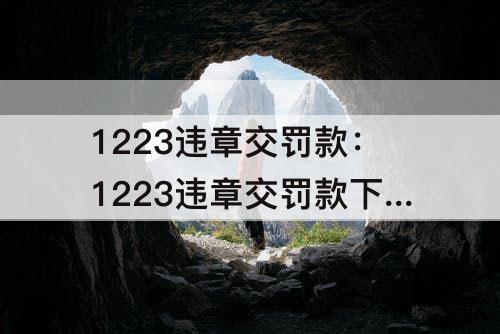 1223违章交罚款：1223违章交罚款下载