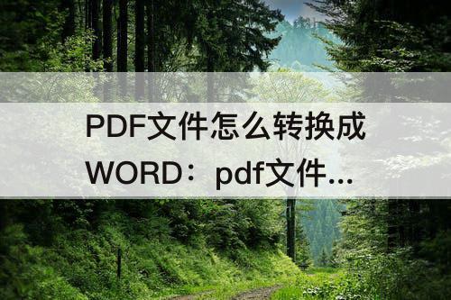 PDF文件怎么转换成WORD：pdf文件怎么转换成word文档免费