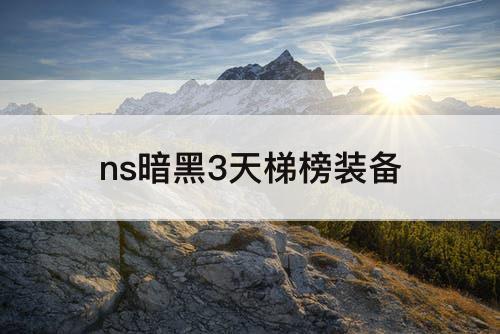 ns暗黑3天梯榜装备