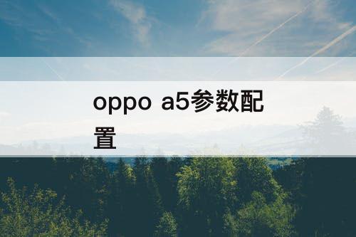 oppo a5参数配置