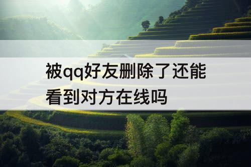 被qq好友删除了还能看到对方在线吗