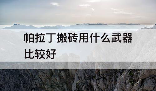 帕拉丁搬砖用什么武器比较好