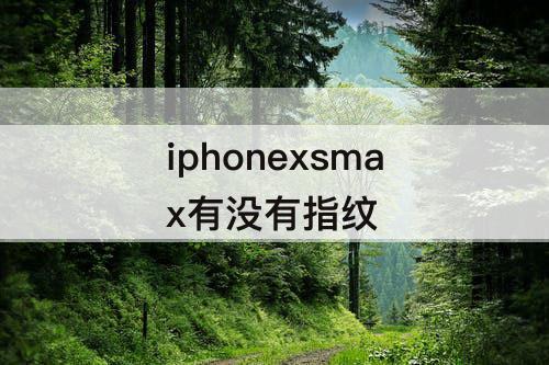 iphonexsmax有没有指纹