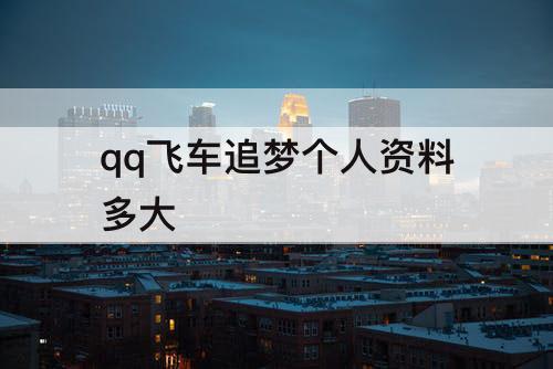 qq飞车追梦个人资料多大
