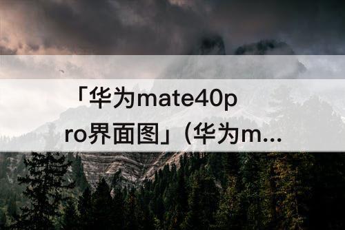 「华为mate40pro界面图」(华为mate40pro界面图片)