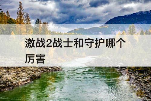 激战2战士和守护哪个厉害