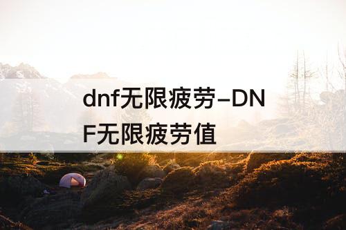 dnf无限疲劳-DNF无限疲劳值