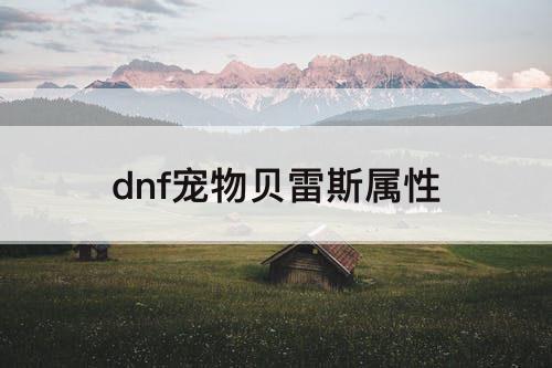 dnf宠物贝雷斯属性