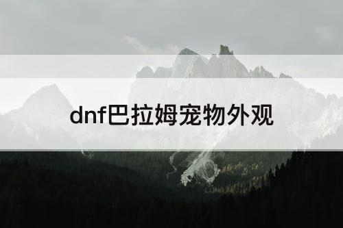 dnf巴拉姆宠物外观