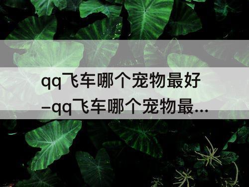 qq飞车哪个宠物最好-qq飞车哪个宠物最好获得而且属性好