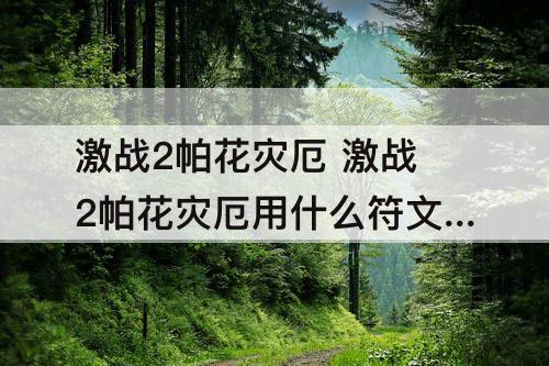 激战2帕花灾厄 激战2帕花灾厄用什么符文好