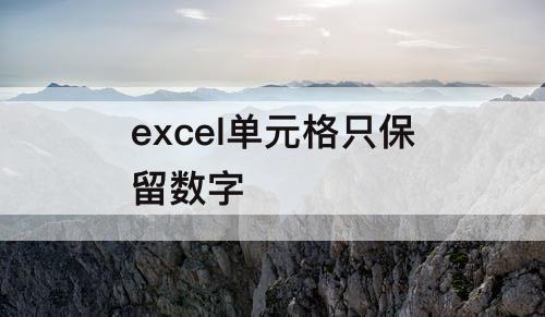 excel单元格只保留数字