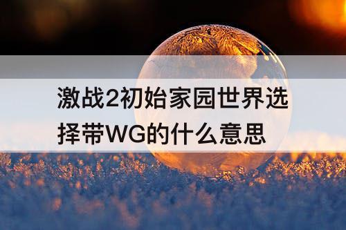 激战2初始家园世界选择带WG的什么意思