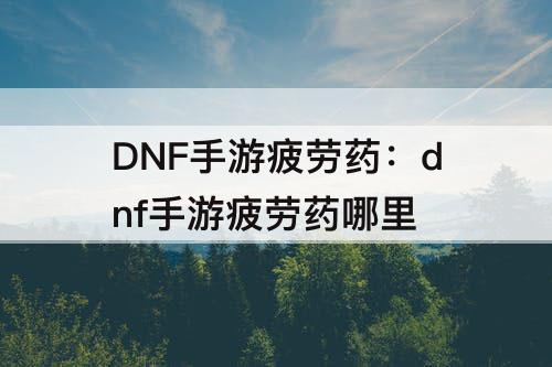 DNF手游疲劳药：dnf手游疲劳药哪里