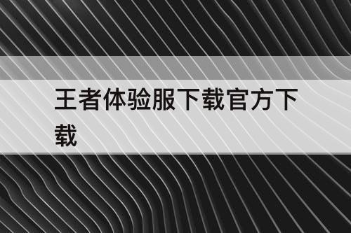 王者体验服下载官方下载