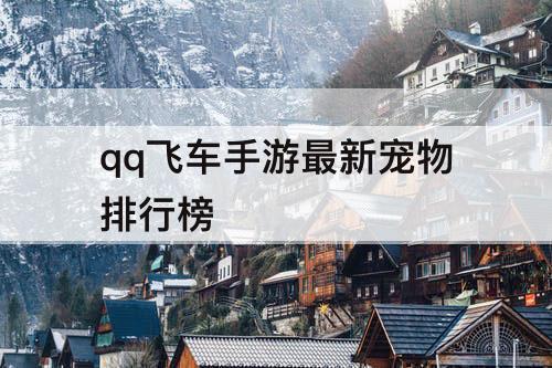 qq飞车手游最新宠物排行榜