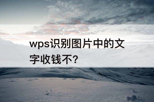wps识别图片中的文字收钱不?