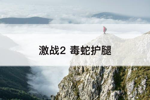 激战2 毒蛇护腿