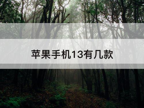 苹果手机13有几款
