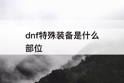 dnf特殊装备是什么部位