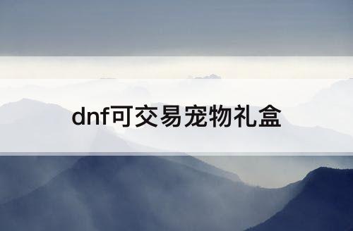 dnf可交易宠物礼盒