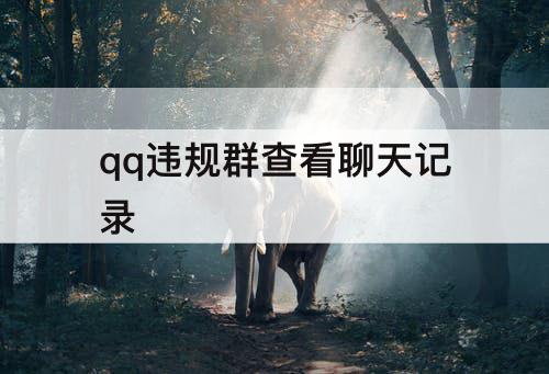 qq违规群查看聊天记录
