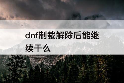 dnf制裁解除后能继续干么