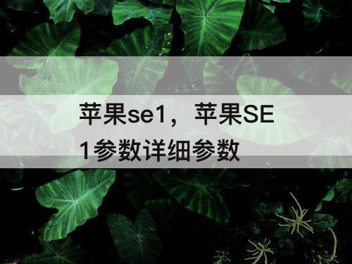 苹果se1，苹果SE1参数详细参数
