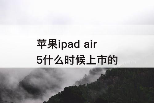 苹果ipad air5什么时候上市的