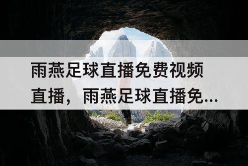 雨燕足球直播免费视频直播，雨燕足球直播免费视频直播下载