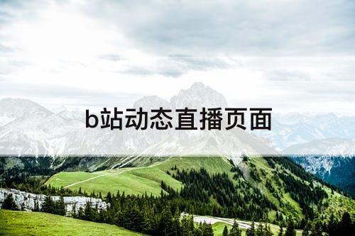 b站动态直播页面